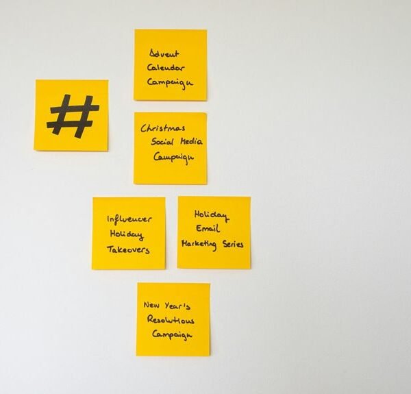 expert seo for success