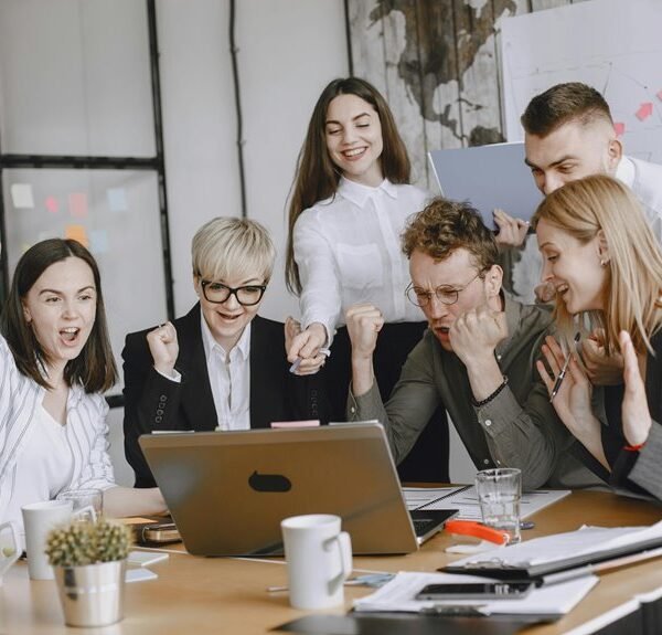 expert seo for success